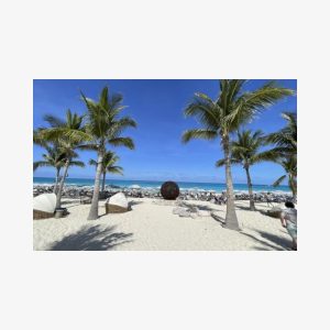 Grand Bahama tour with optional Pig Beach visit