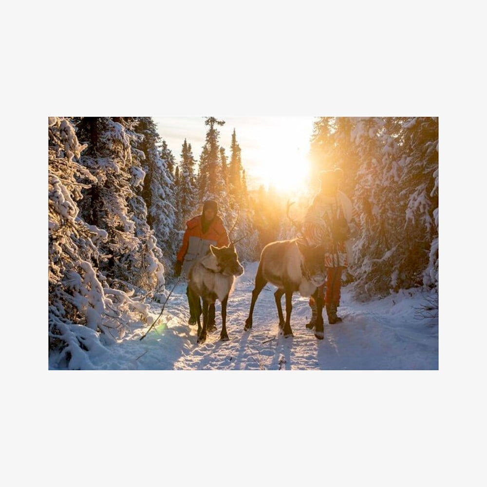 Reindeer-and-Snowmobile-Day-Trip-Photoroom